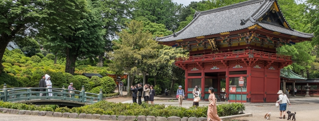 Tokio Contrastes Tour I